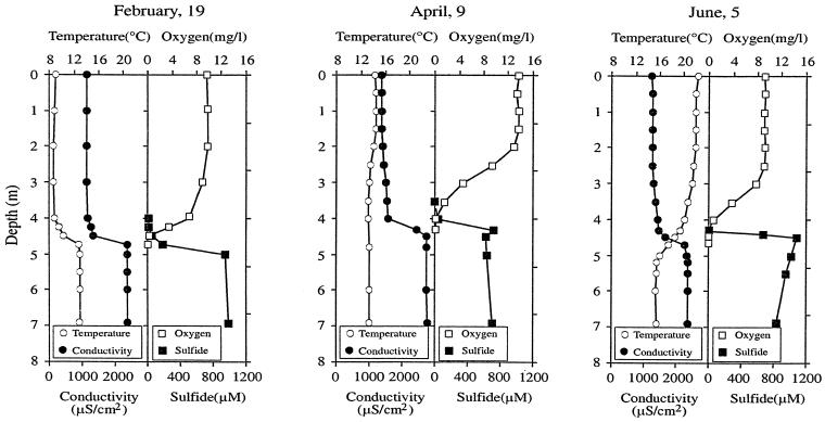 FIG. 1.