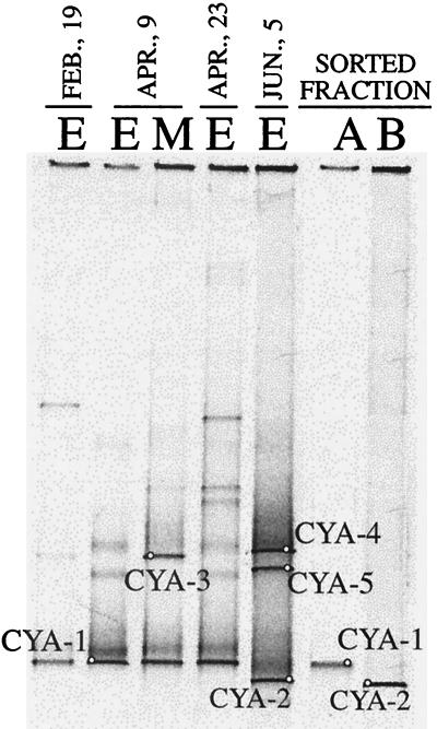 FIG. 5.