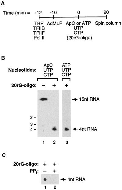 FIG. 8.