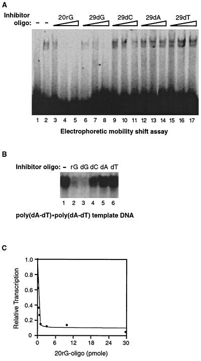 FIG. 5.