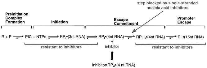 FIG. 9.