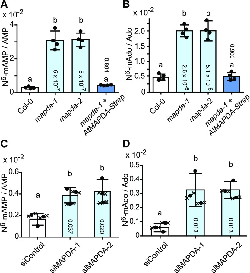 Figure 5.