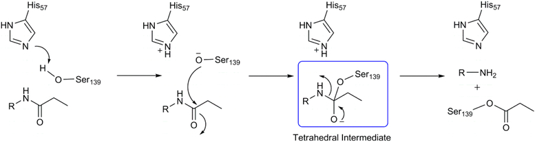 Scheme 1.