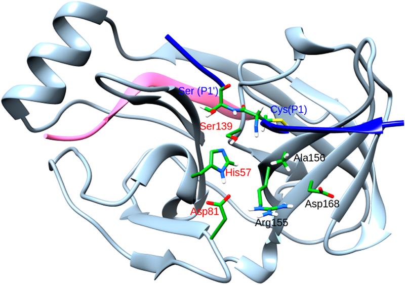 Figure 1.