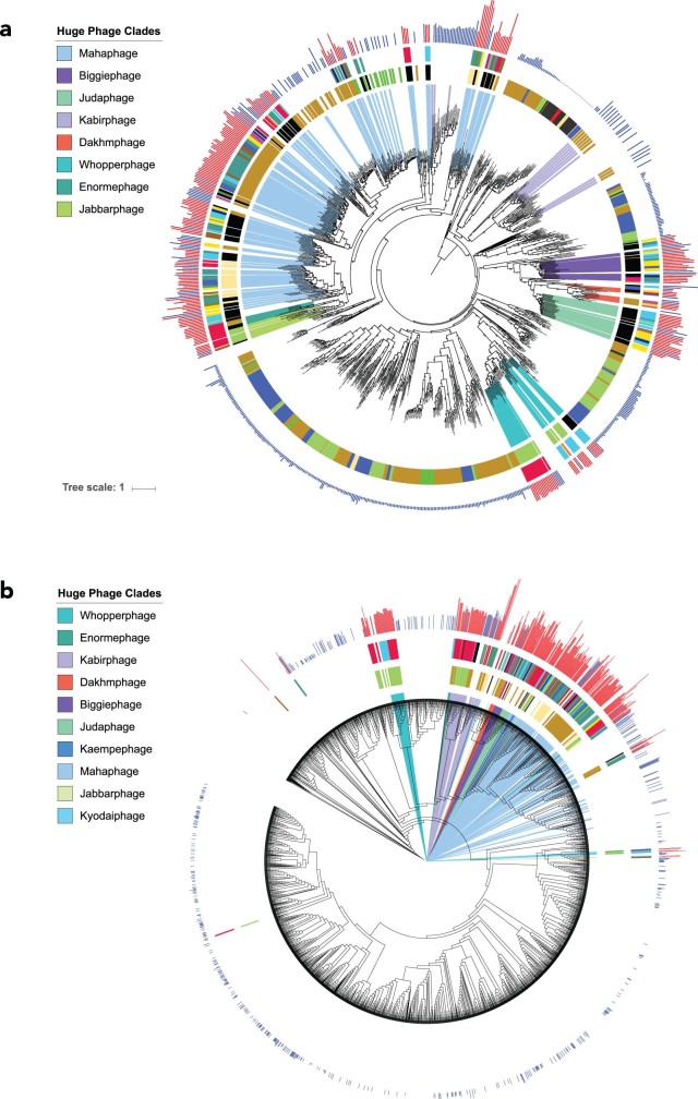 Extended Data Fig. 5