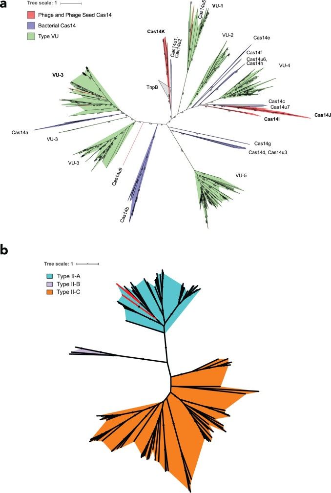 Extended Data Fig. 8