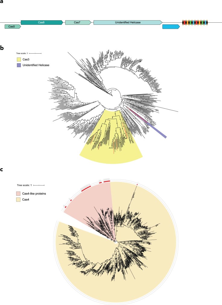 Extended Data Fig. 9