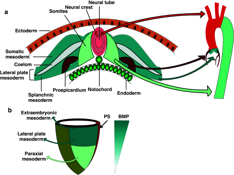 Fig. 1