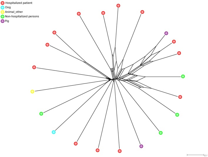 FIGURE 2