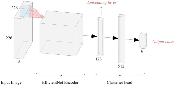 Fig. 5