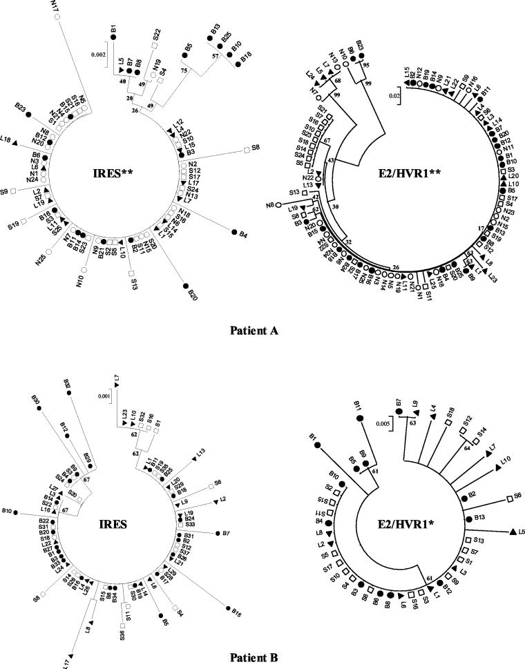 FIG.4.