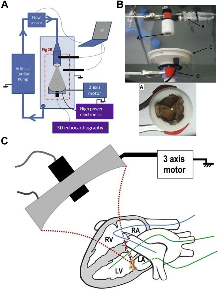 Figure 2