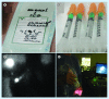 <b>Figure 3.</b>