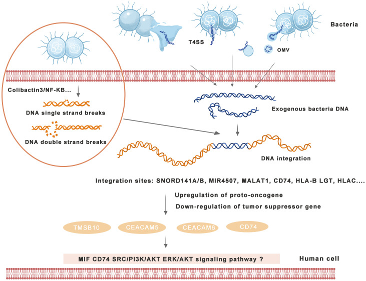 Figure 2