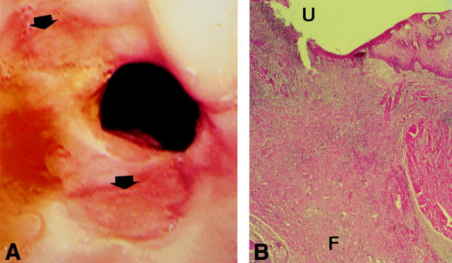 Figure 1  