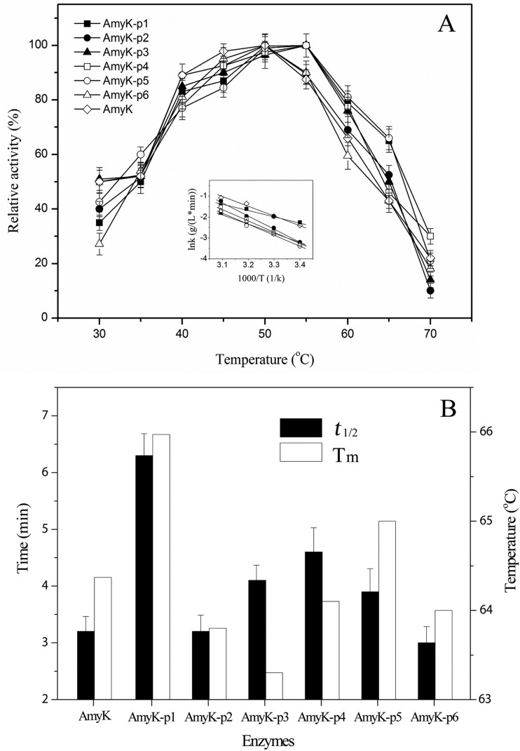 Fig 6