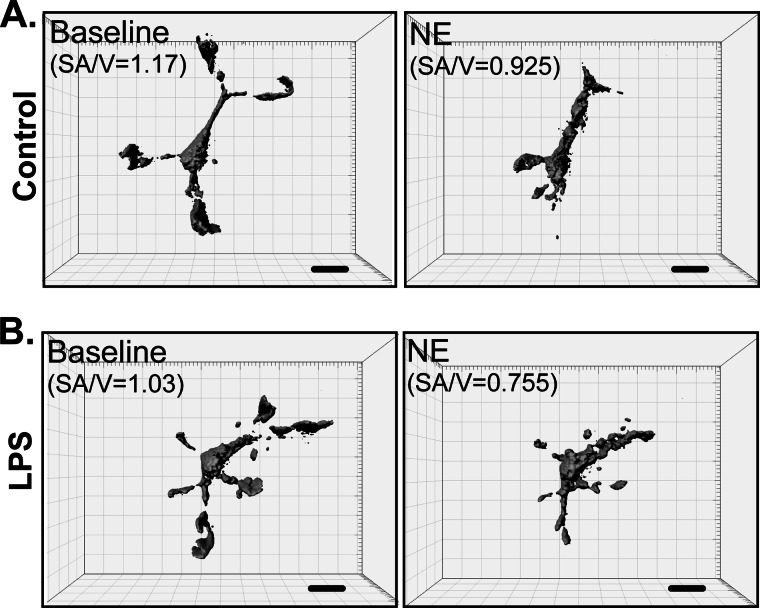 FIGURE 4.