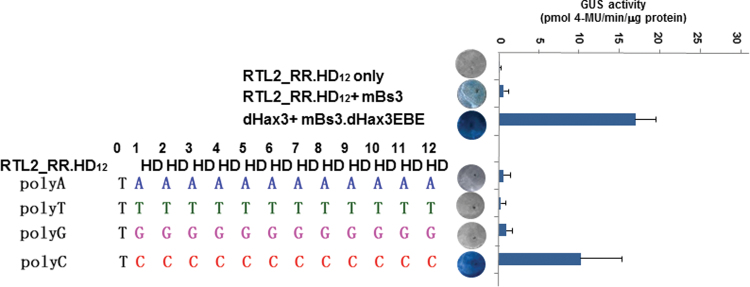 Figure 5.