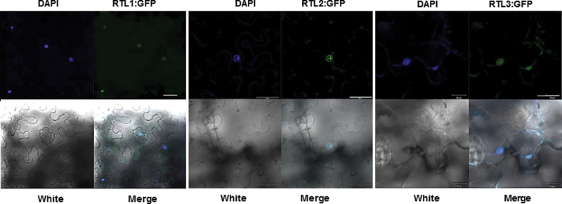 Figure 3.