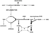 Fig.1