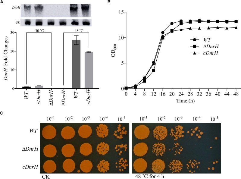 FIGURE 3