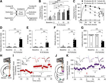 Figure 11.