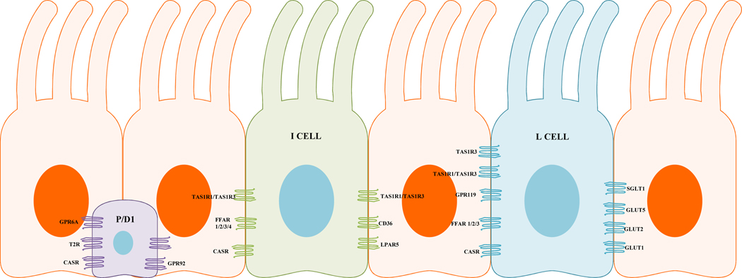 Figure 2.