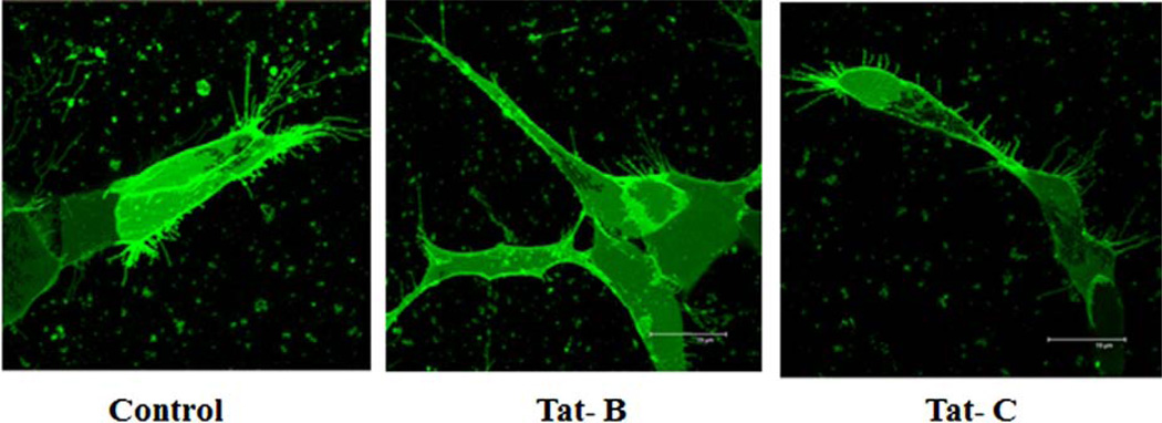 Fig. (4)