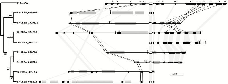 Fig. 3.