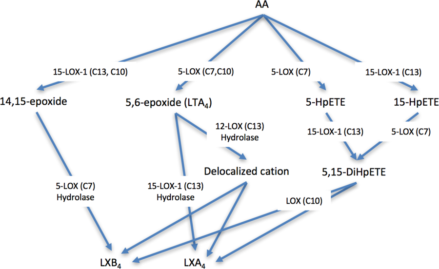 Figure 1: