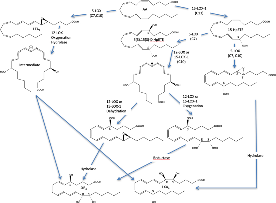 Figure 6: