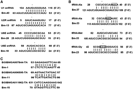 Figure 6.