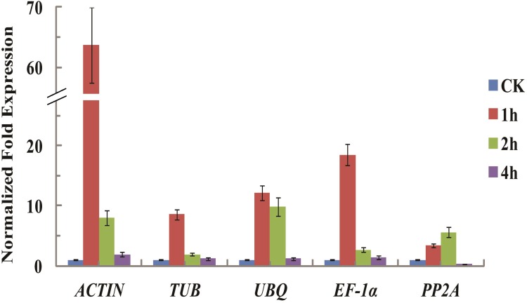 Fig 4