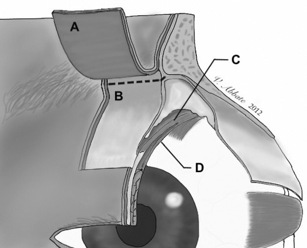 Fig. 1.