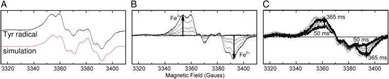 Fig. 5.