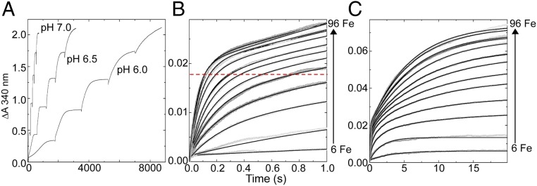 Fig. 2.