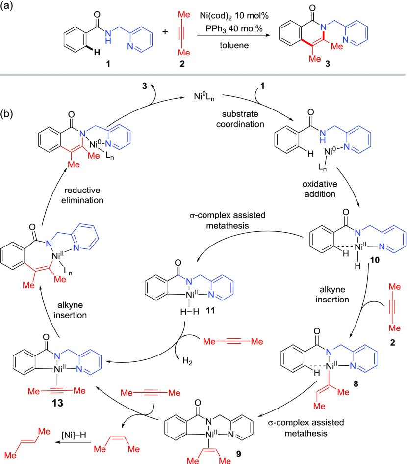 Scheme 3