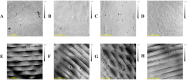 Fig. 14