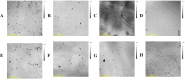 Fig. 12
