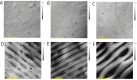 Fig. 10