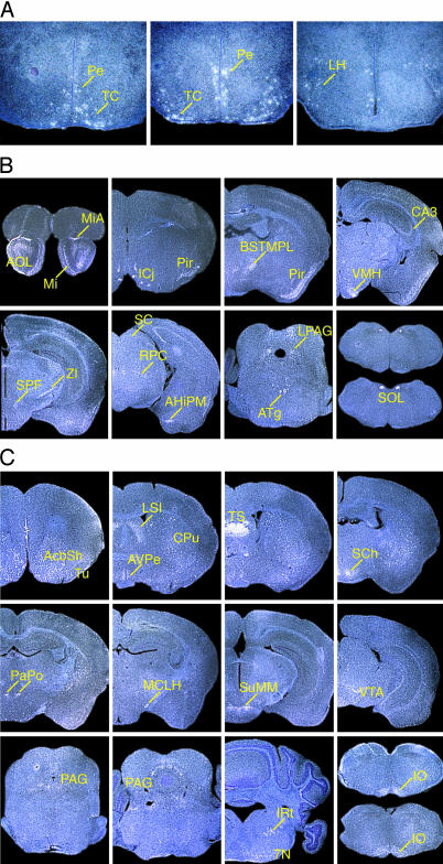 Fig. 3.