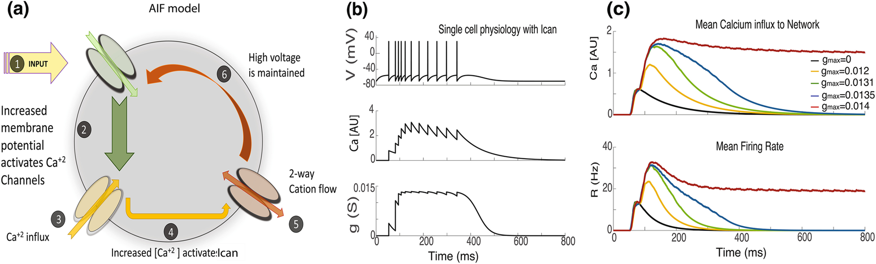 Fig. 2