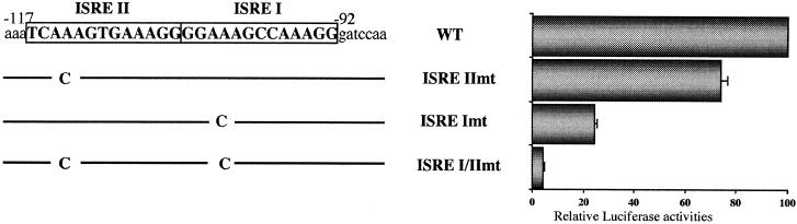 FIG. 5.