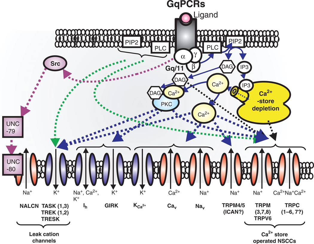 Figure 15