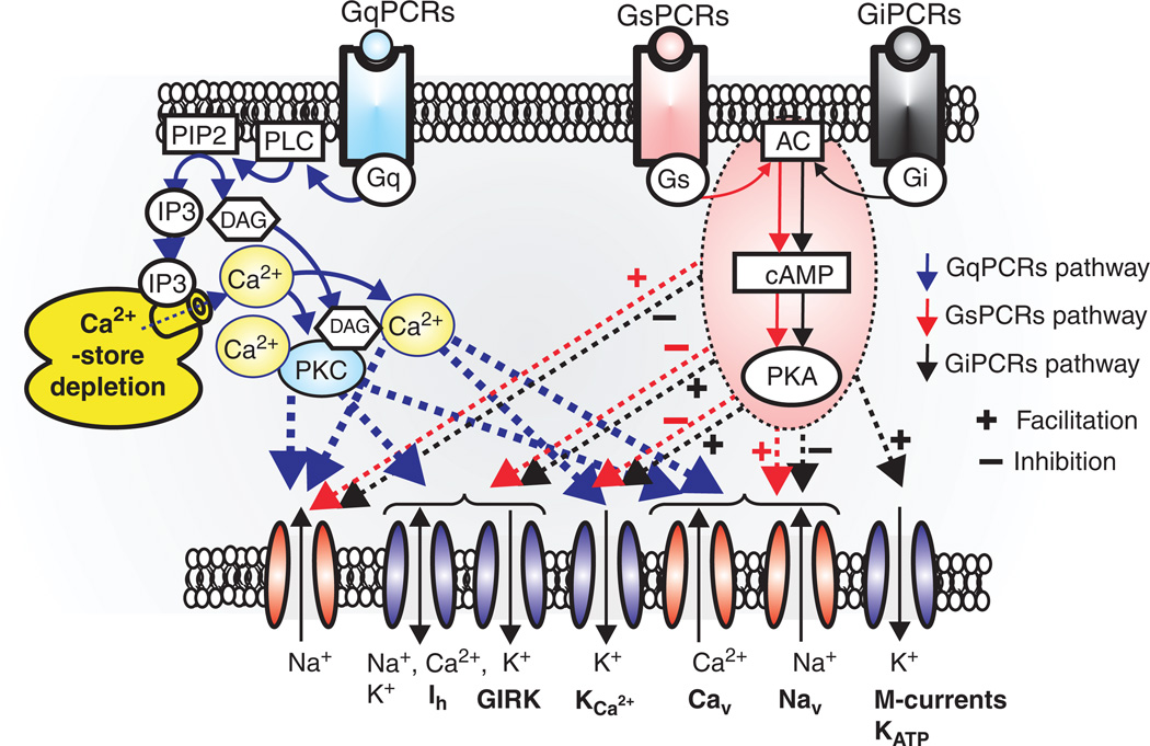 Figure 13