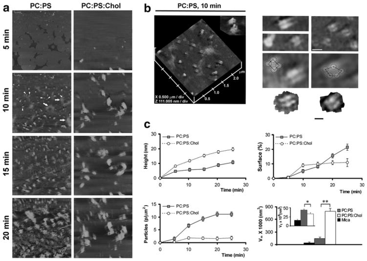 Fig. 4.4