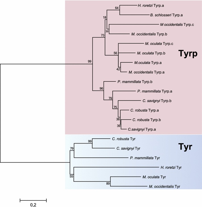 Fig. 1