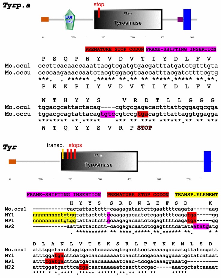 Fig. 4