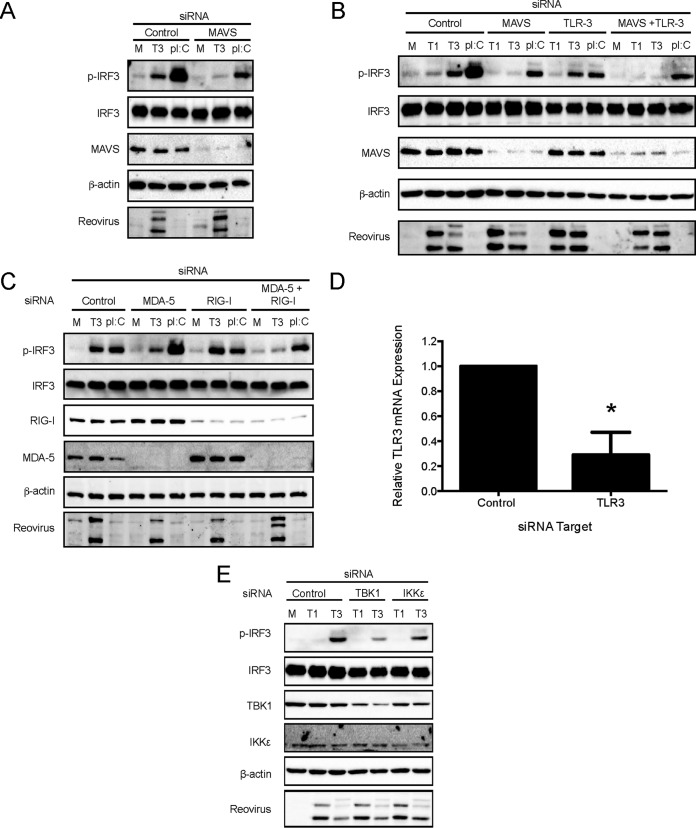 FIG 3