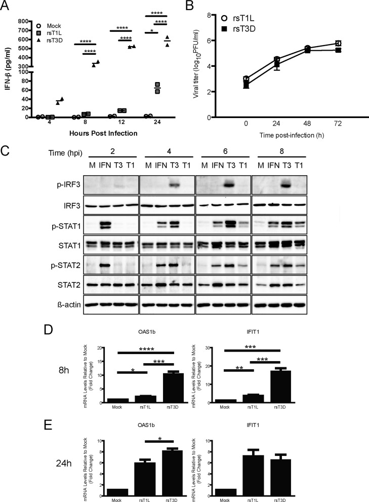 FIG 1